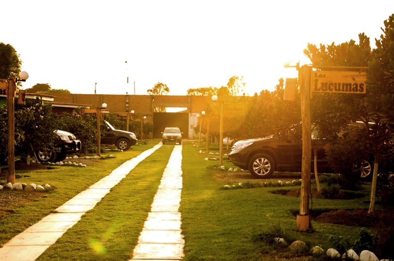 Hotel Villa Kitzia Huacho Eksteriør bilde